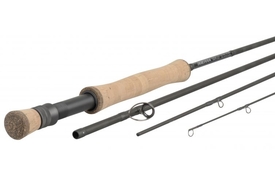 Country Sports Newtownards Fishing Department